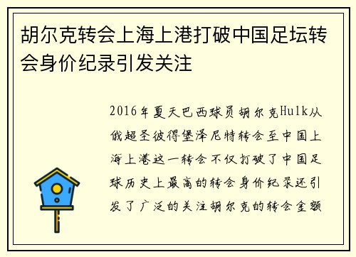 胡尔克转会上海上港打破中国足坛转会身价纪录引发关注